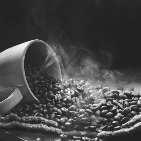 Die Geschichte des Kaffees