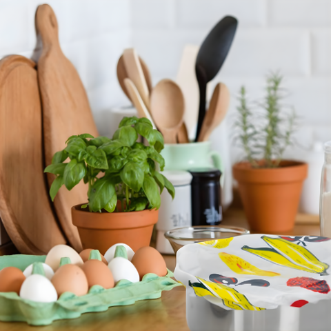 Thiru Frischhaltedeckel-Set 5-teilig – wiederverwendbare Topf- und Schüsselhauben Ø 9-25 cm mit Gummizug