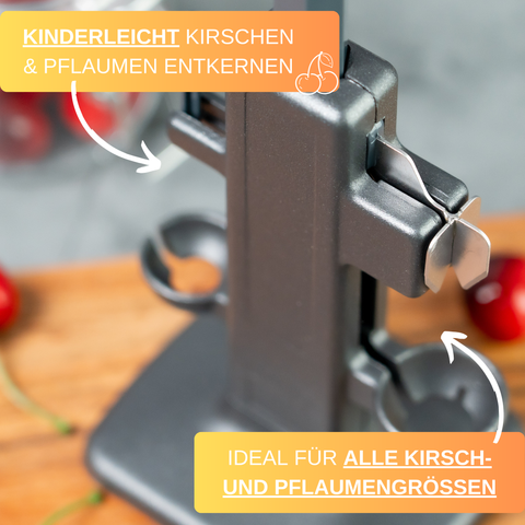 Thiru Steinex Combi – Kirsch- & Pflaumenentsteiner, schnell & sauber, Black Edition