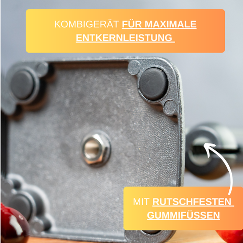 Thiru Steinex Combi – Kirsch- & Pflaumenentsteiner, schnell & sauber, Black Edition