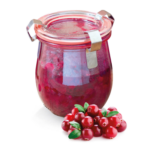 Thiru 8 Deckelklammern – Federstahl-Klammern für Weck-Gläser zum sicheren Einkochen